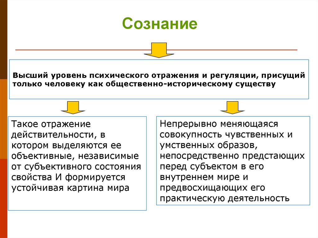 Высший уровень психического отражения и регуляции, присущий только человеку как общественно-историческому существу