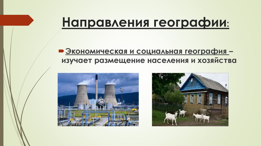 Направления географии: