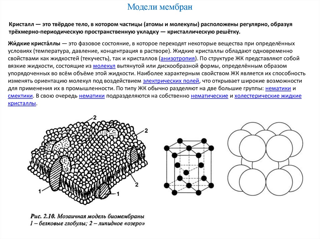 Модели мембран