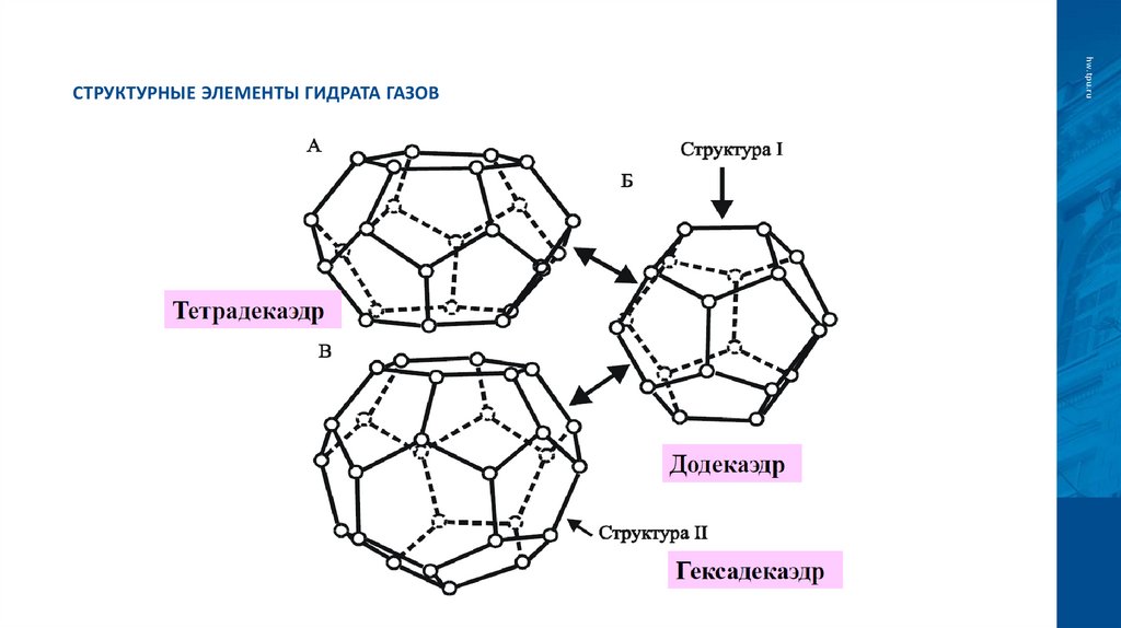 Структурные элементы гидрата газов