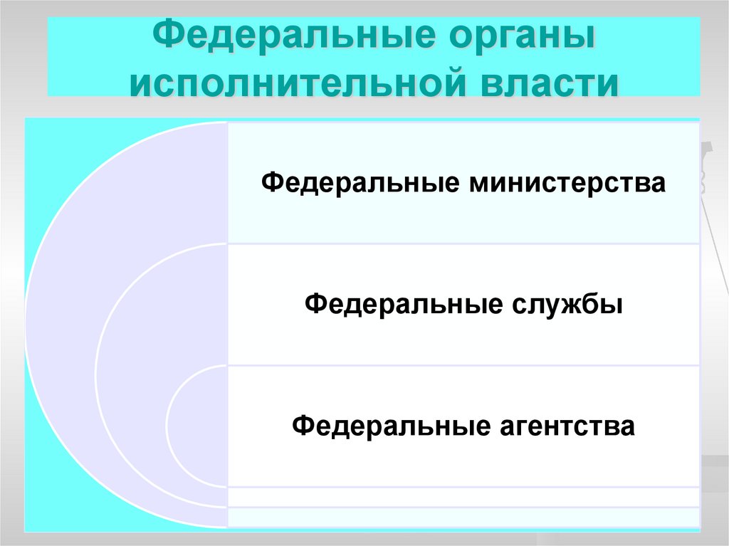 Правительство