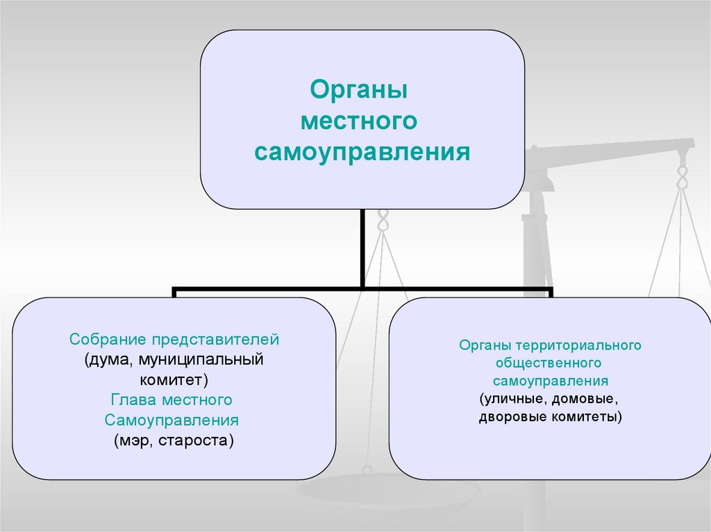 Сферы деятельности