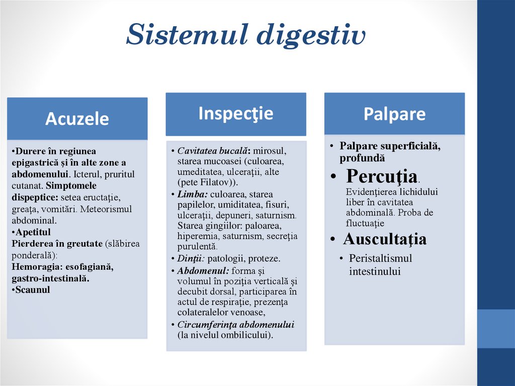 Sistemul digestiv