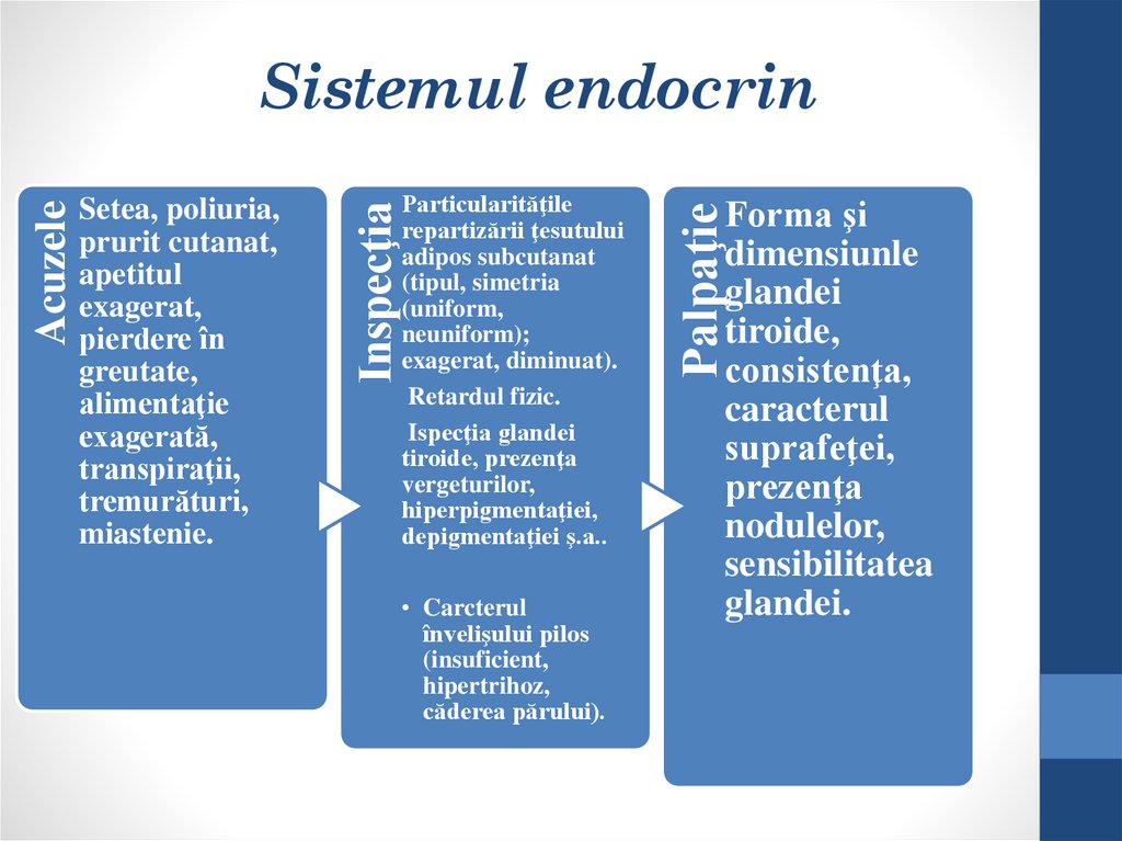 Sistemul endocrin