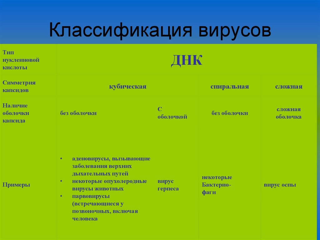Классификация вирусов
