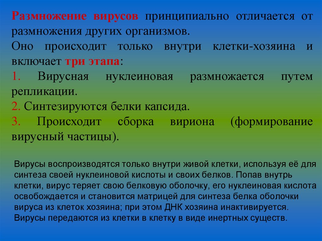 Вирусы воспроизводятся только внутри живой клетки, используя её для синтеза своей нуклеиновой кислоты и своих белков. Попав