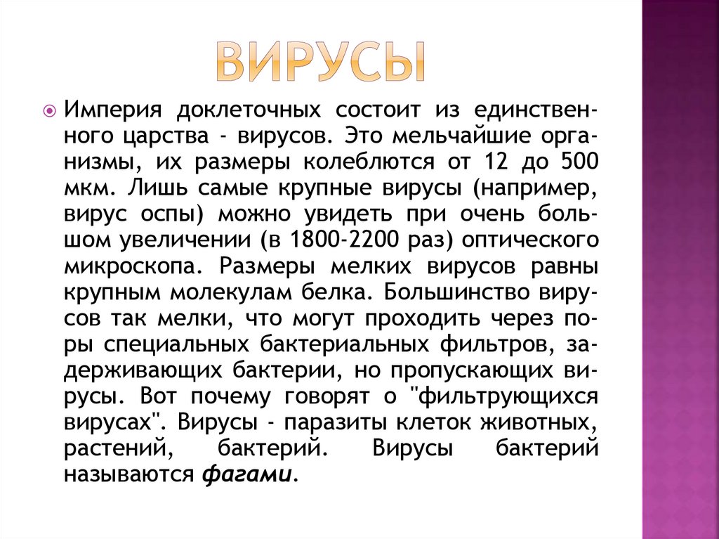 ВИРУСЫ