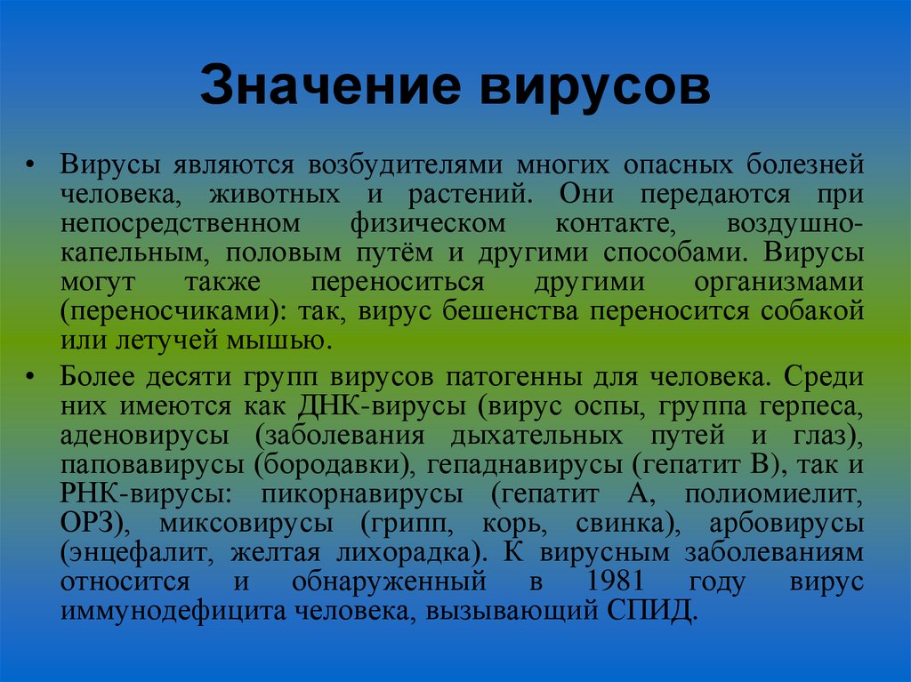 Значение вирусов