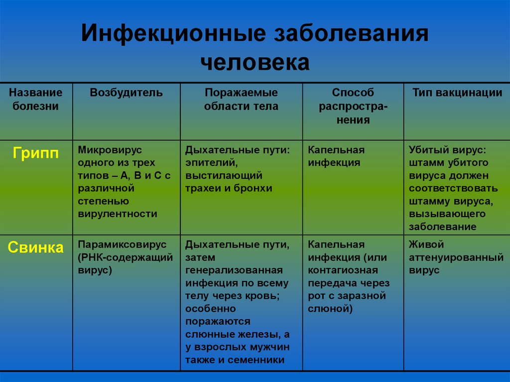 Инфекционные заболевания человека