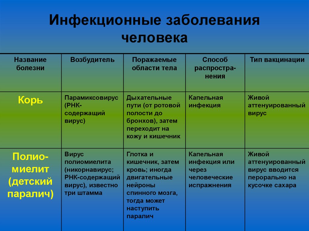 Инфекционные заболевания человека