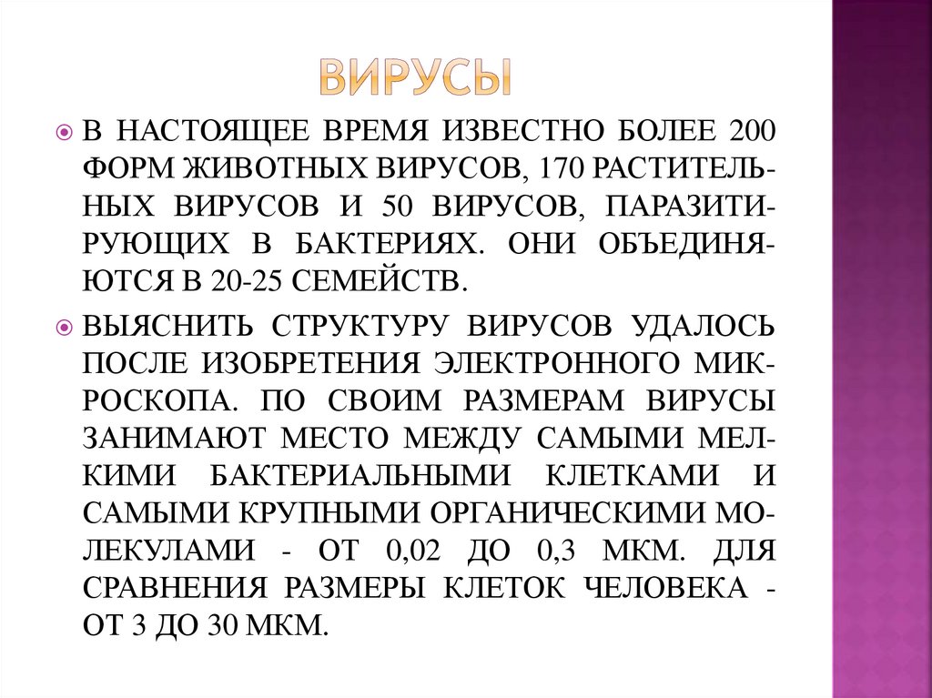 Вирусы