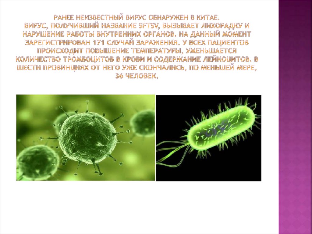Ранее неизвестный вирус обнаружен в китае. Вирус, получивший название SFTSV, вызывает лихорадку и нарушение работы внутренних