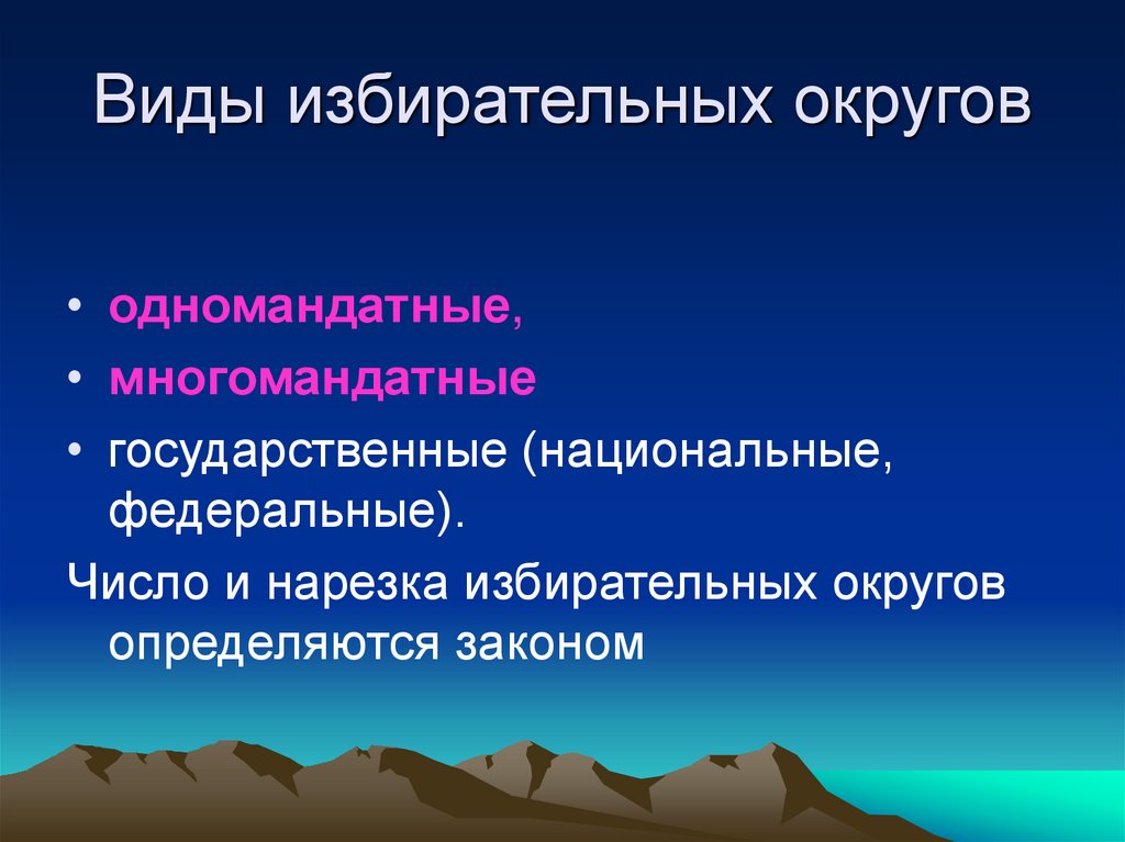 Виды избирательных округов