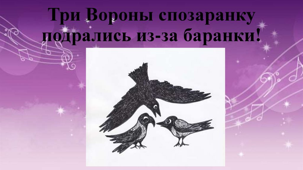 Три Вороны спозаранку подрались из-за баранки!