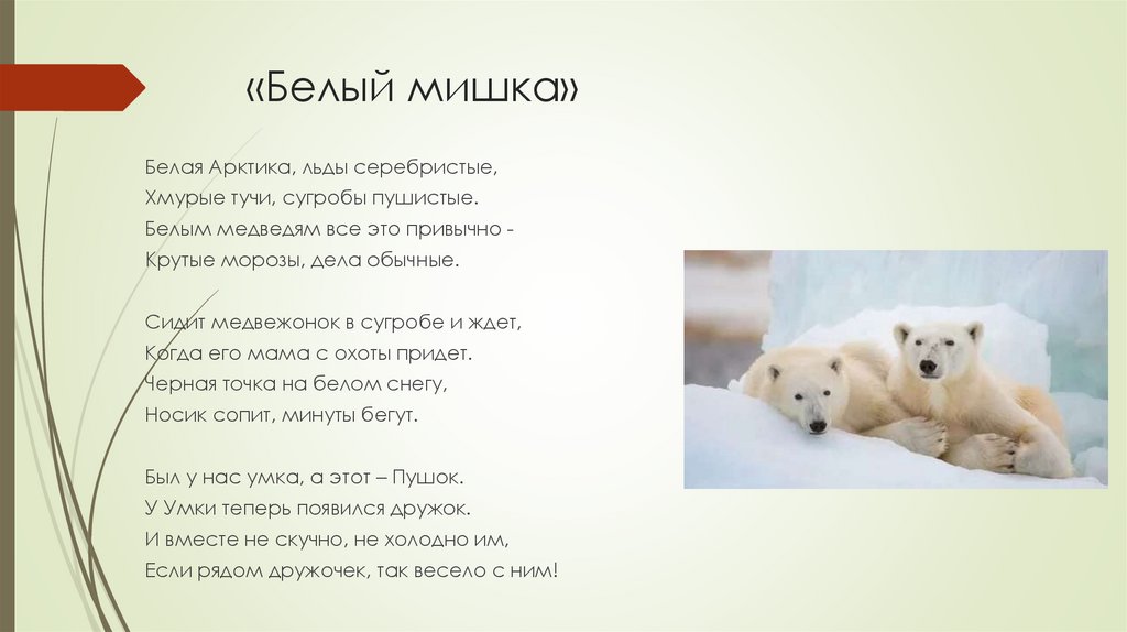 «Белый мишка»