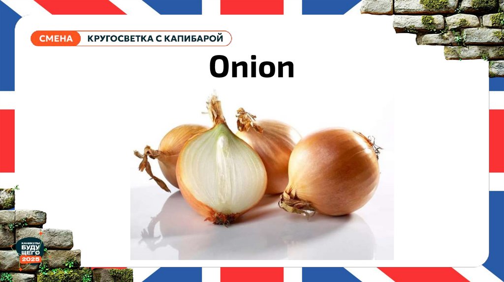 Onion