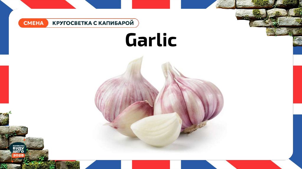 Garlic