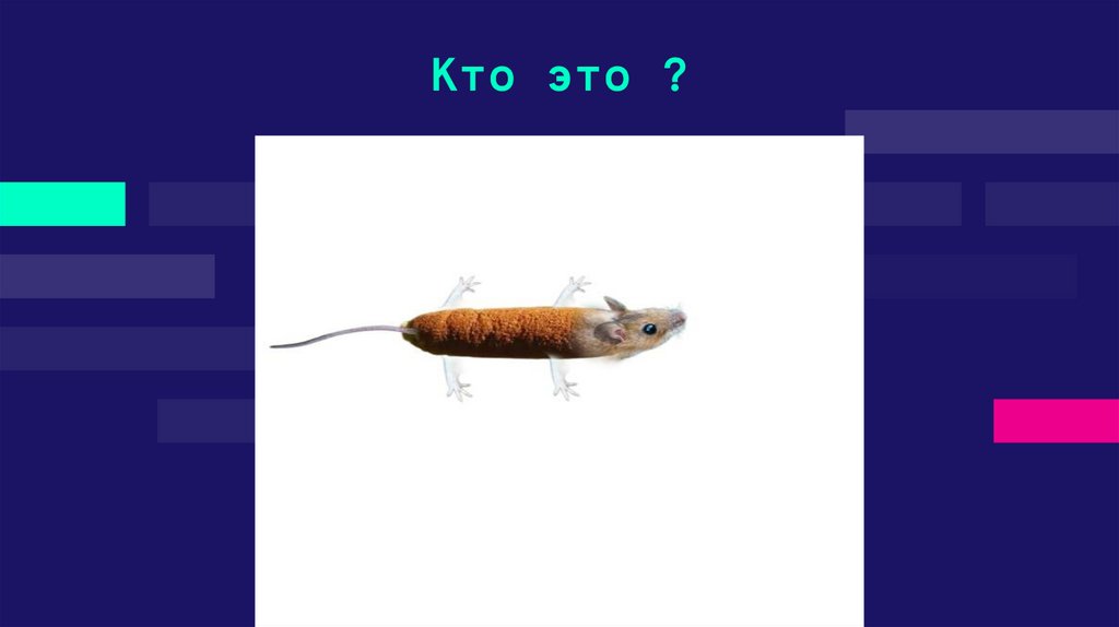 Кто это ?