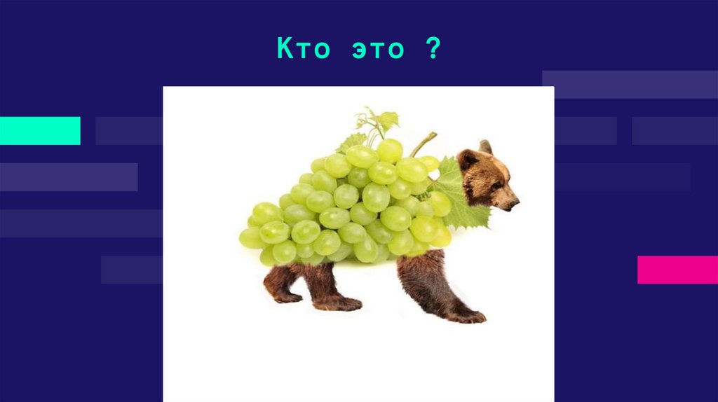 Кто это ?