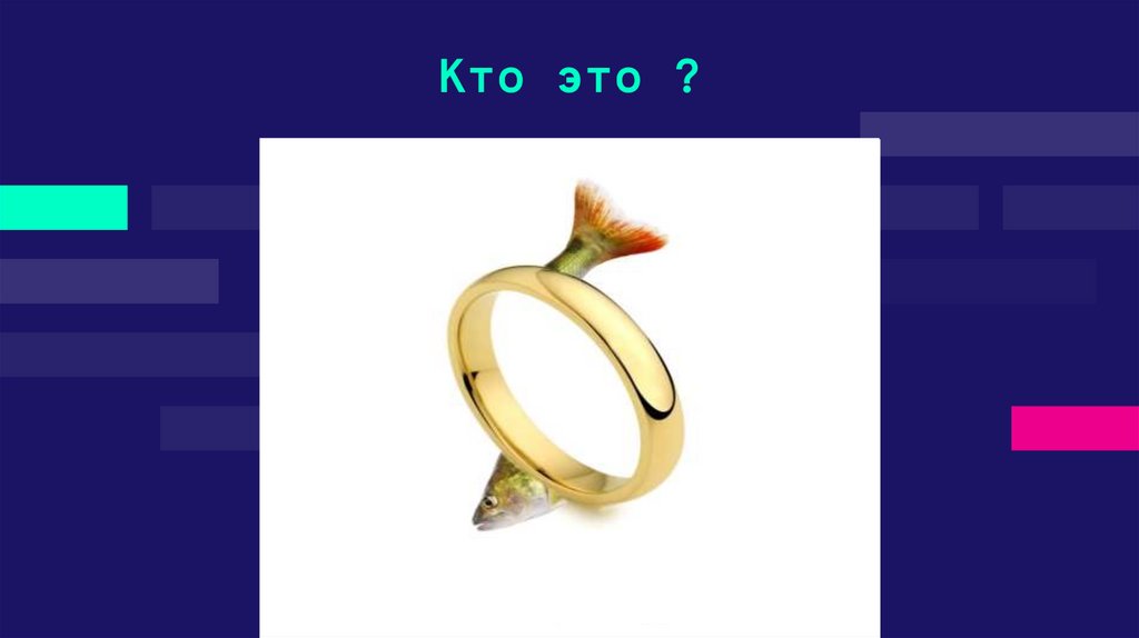 Кто это ?