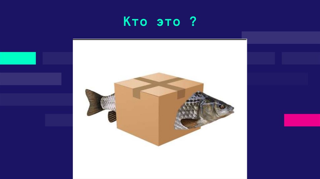 Кто это ?