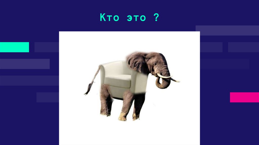 Кто это ?