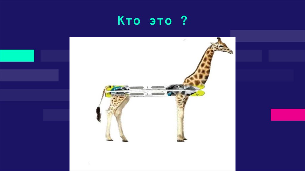 Кто это ?
