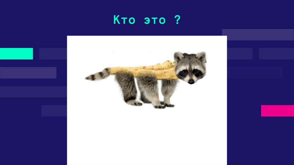 Кто это ?