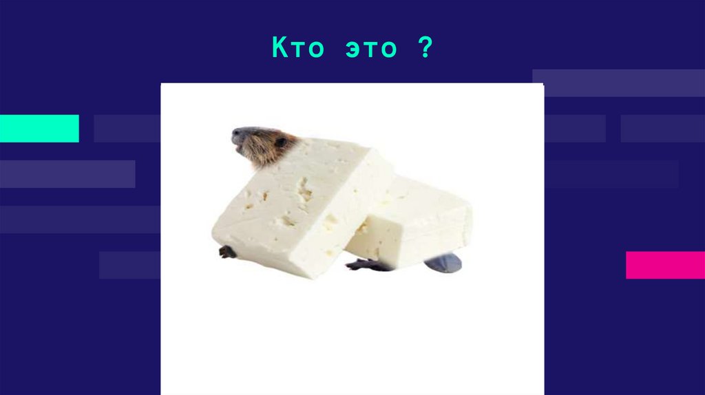 Кто это ?