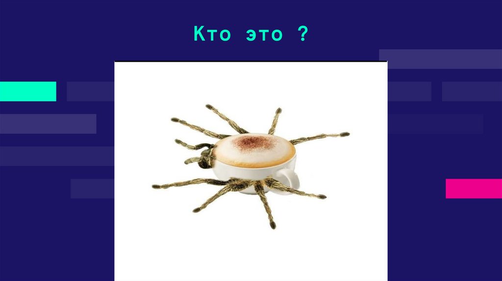 Кто это ?