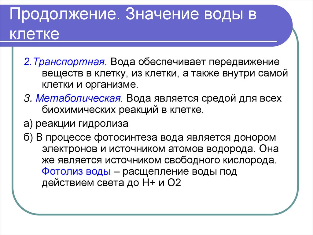 Продолжение. Значение воды в клетке