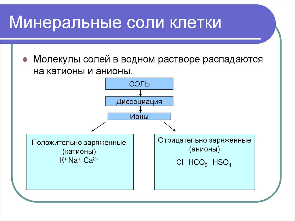 Минеральные соли клетки