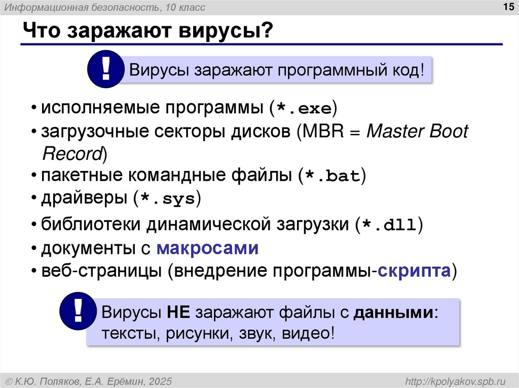 Что заражают вирусы?