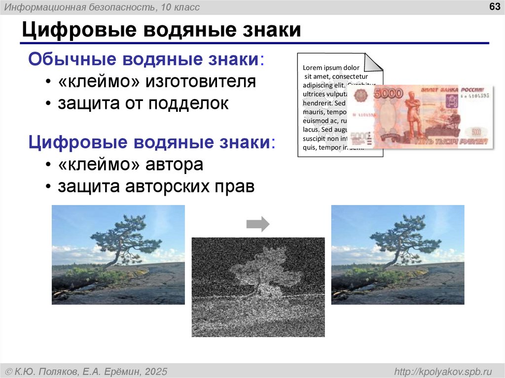 Цифровые водяные знаки