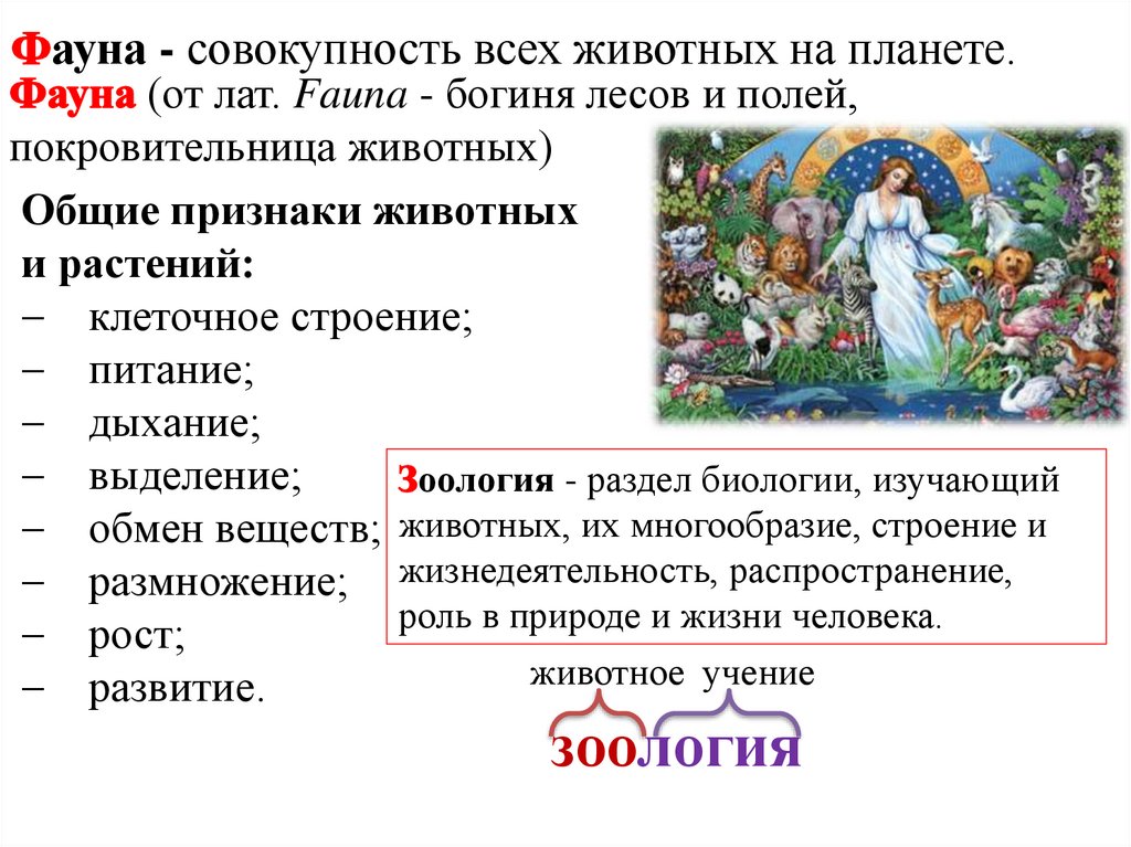 Фауна - совокупность всех животных на планете.