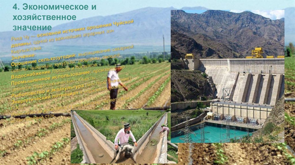 Река Чу — основной источник орошения Чуйской долины, одной из важнейших аграрных зон Кыргызстана. Значение: Орошение