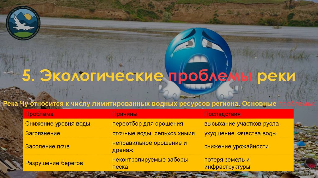5. Экологические проблемы реки