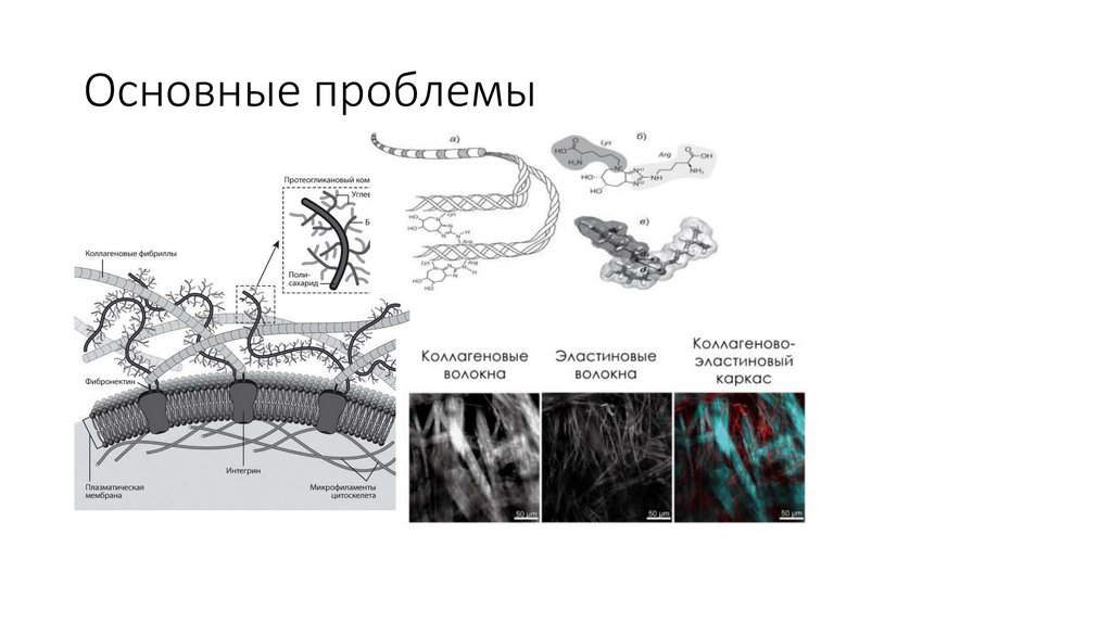Основные проблемы