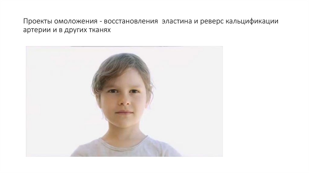 Проекты омоложения - восстановления эластина и реверс кальцификации артерии и в других тканях