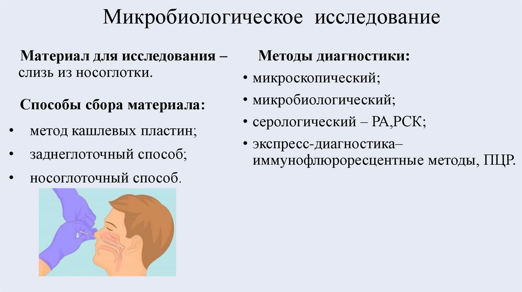 Микробиологическое исследование