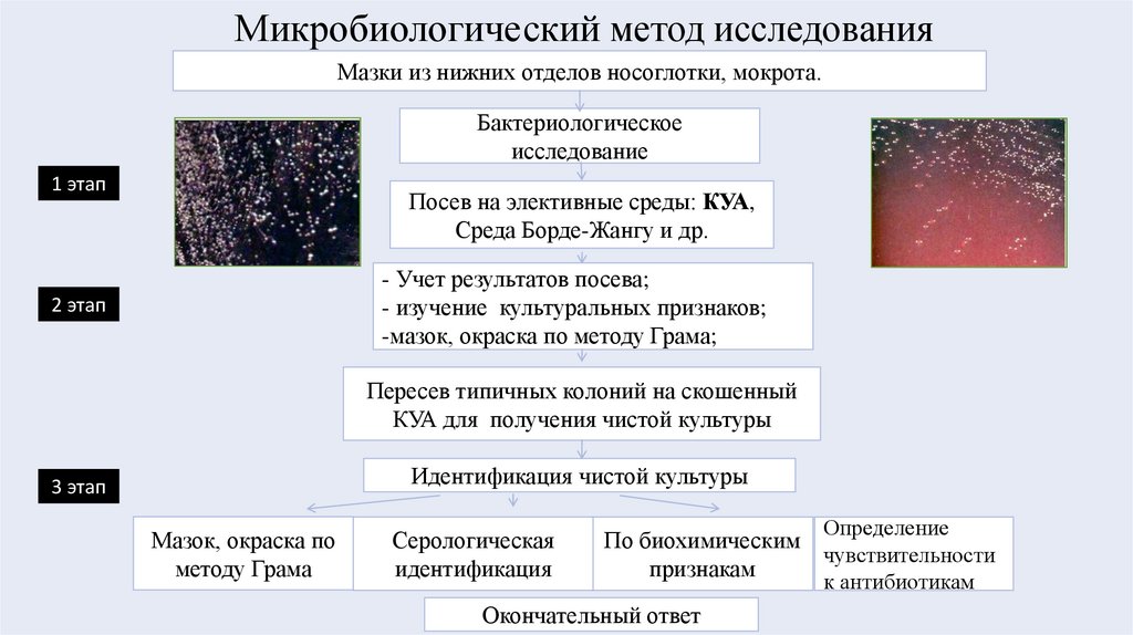 Микробиологический метод исследования