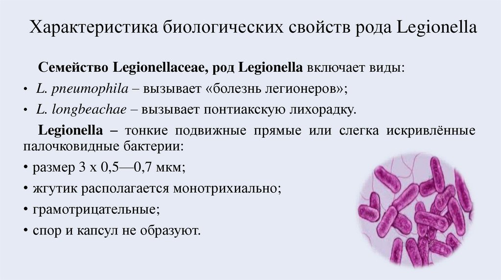 Характеристика биологических свойств рода Legionella