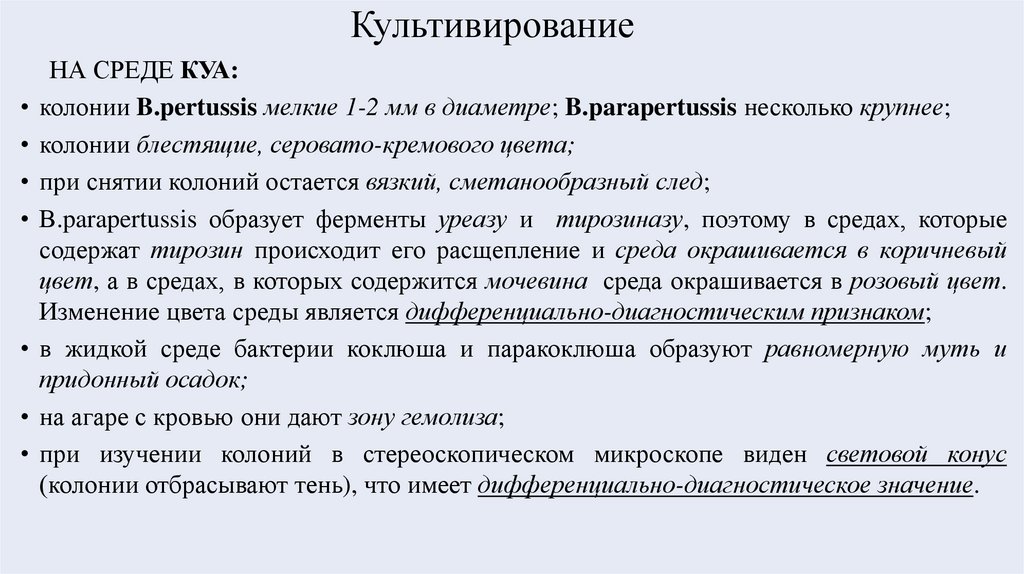 Культивирование