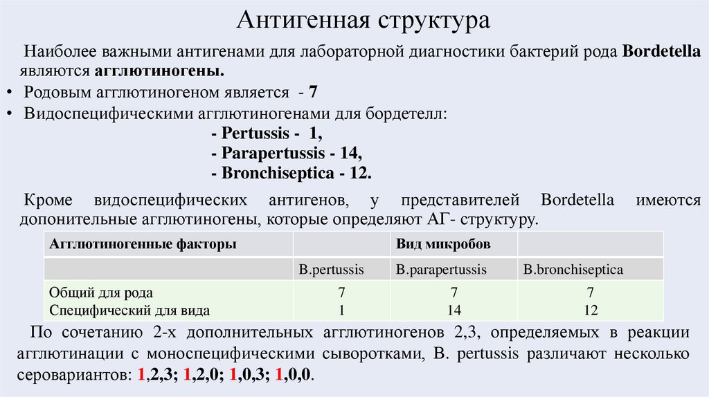 Антигенная структура 