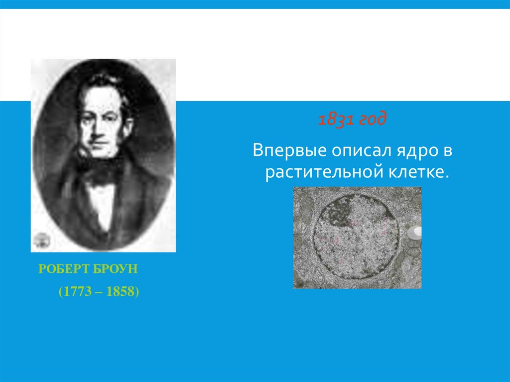 Роберт Броун