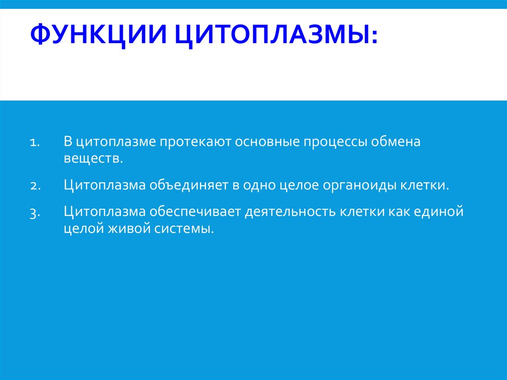 Функции цитоплазмы: