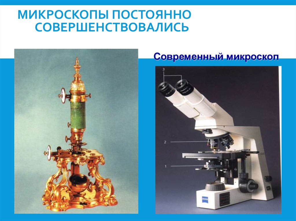 Микроскопы постоянно совершенствовались