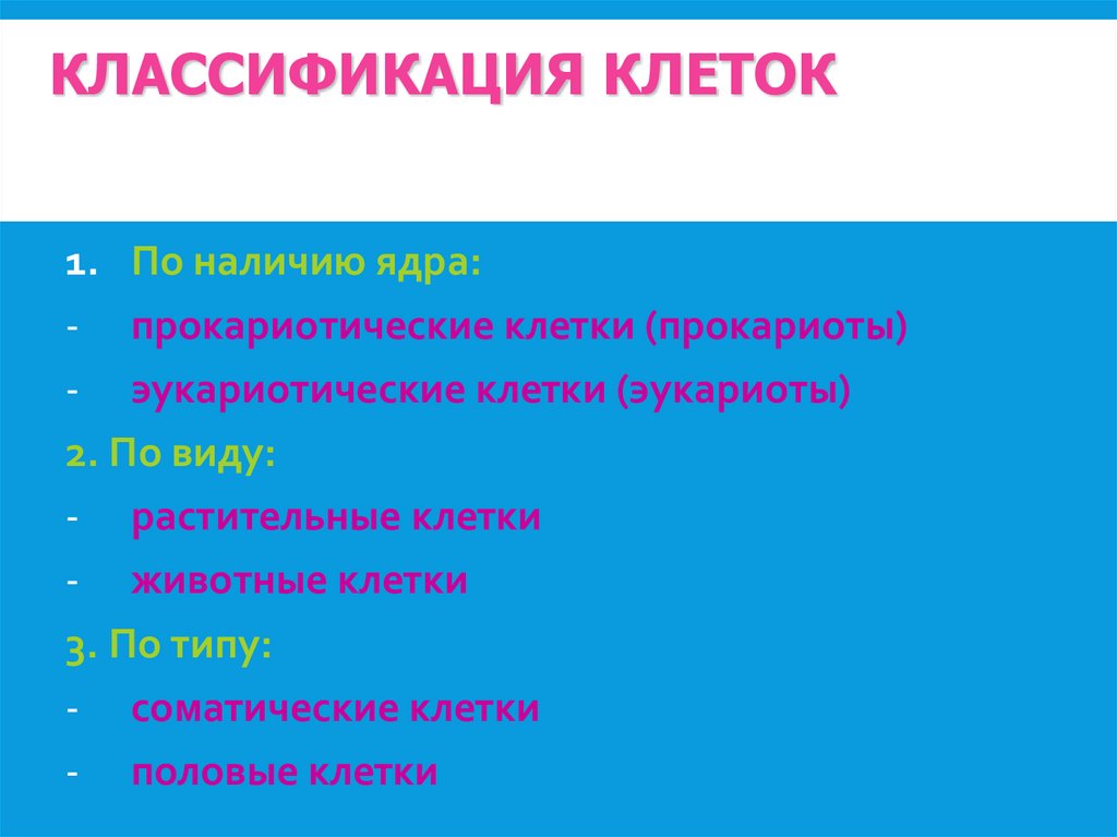 Классификация клеток