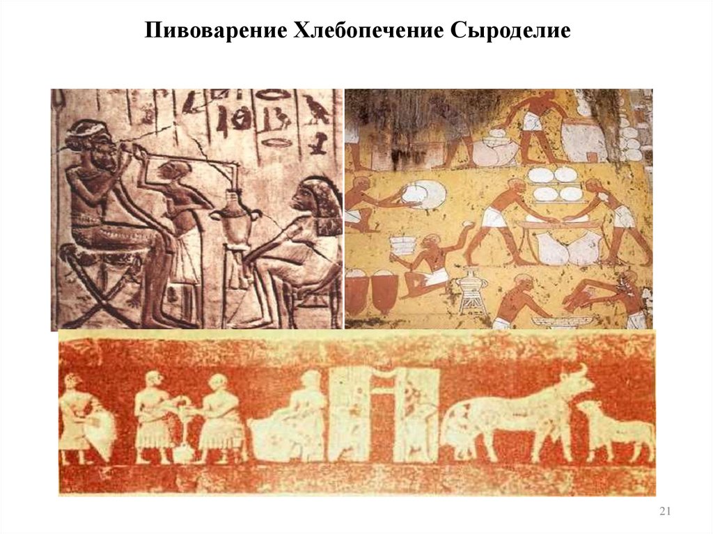 Пивоварение Хлебопечение Сыроделие