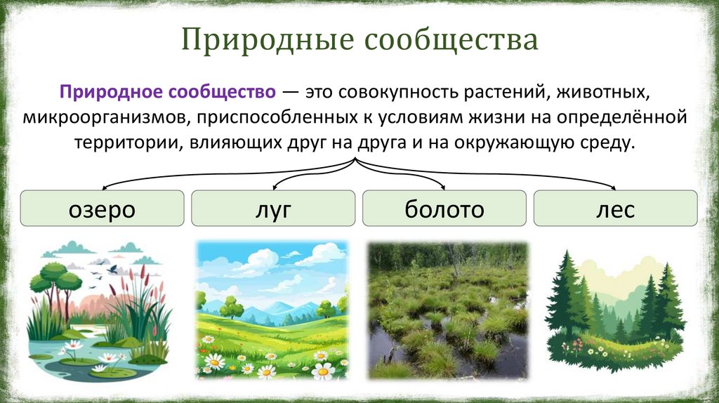 Природные сообщества